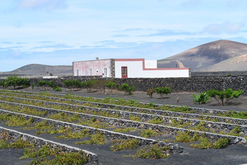 Casa Bermejo Lägenhet San Bartolomé Exteriör bild